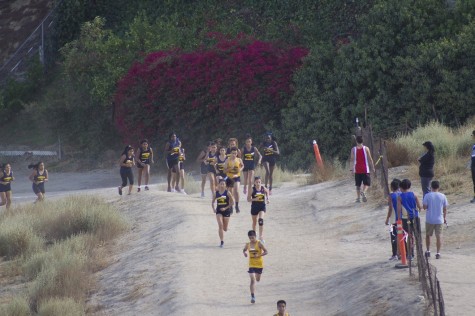 CrossCountry Runs To City Finals