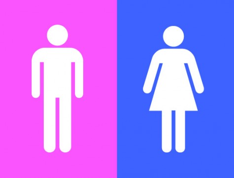 Are Gender Roles Necessary?