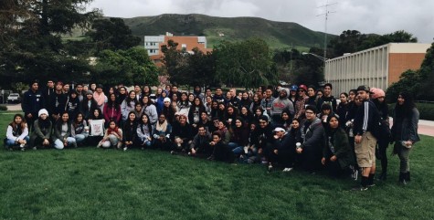 CAL Fieldtrip