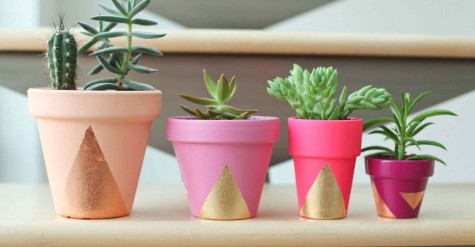 DIY Succulent Planters