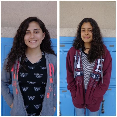 Senior vs. Freshman Questions