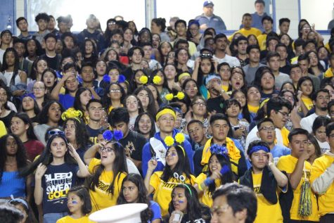 Does BCCHS Have School Traditions?