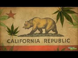 Marijuana Legalization in California