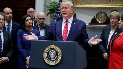 President Trump: First Fascist President?
