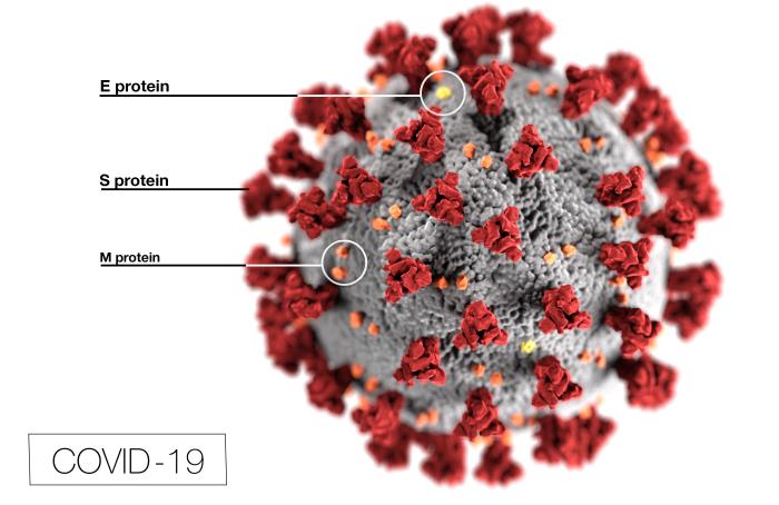 Coronavirus+Pandemic+Becoming+Chaotic