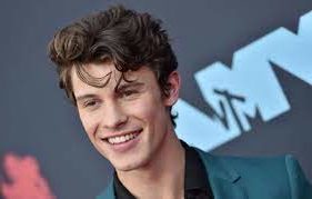 Shawn Mendes at the VMAs walking the red carpet 