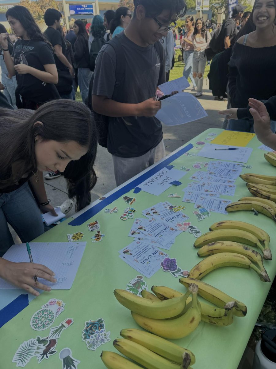 Students signing up for Jane Goodall Society Club (photo: Melani Almaguer)