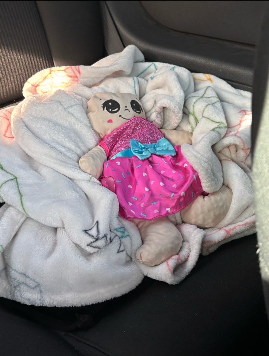 Picture of a ''bean baby'' carried by many BCCHS students this year.
(Photo: Adriana Centeno (12))