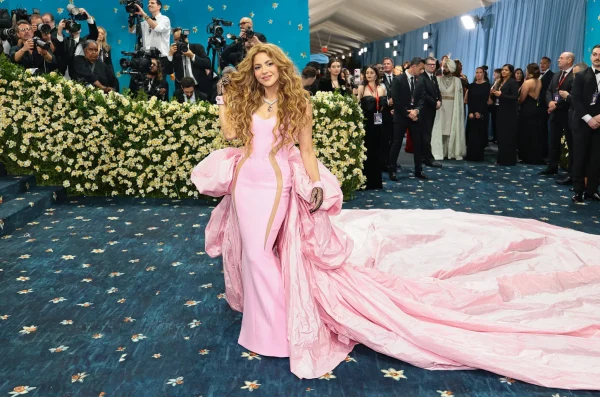 Met Gala 2025 Theme Featured “Superfine: Tailoring Black Style”